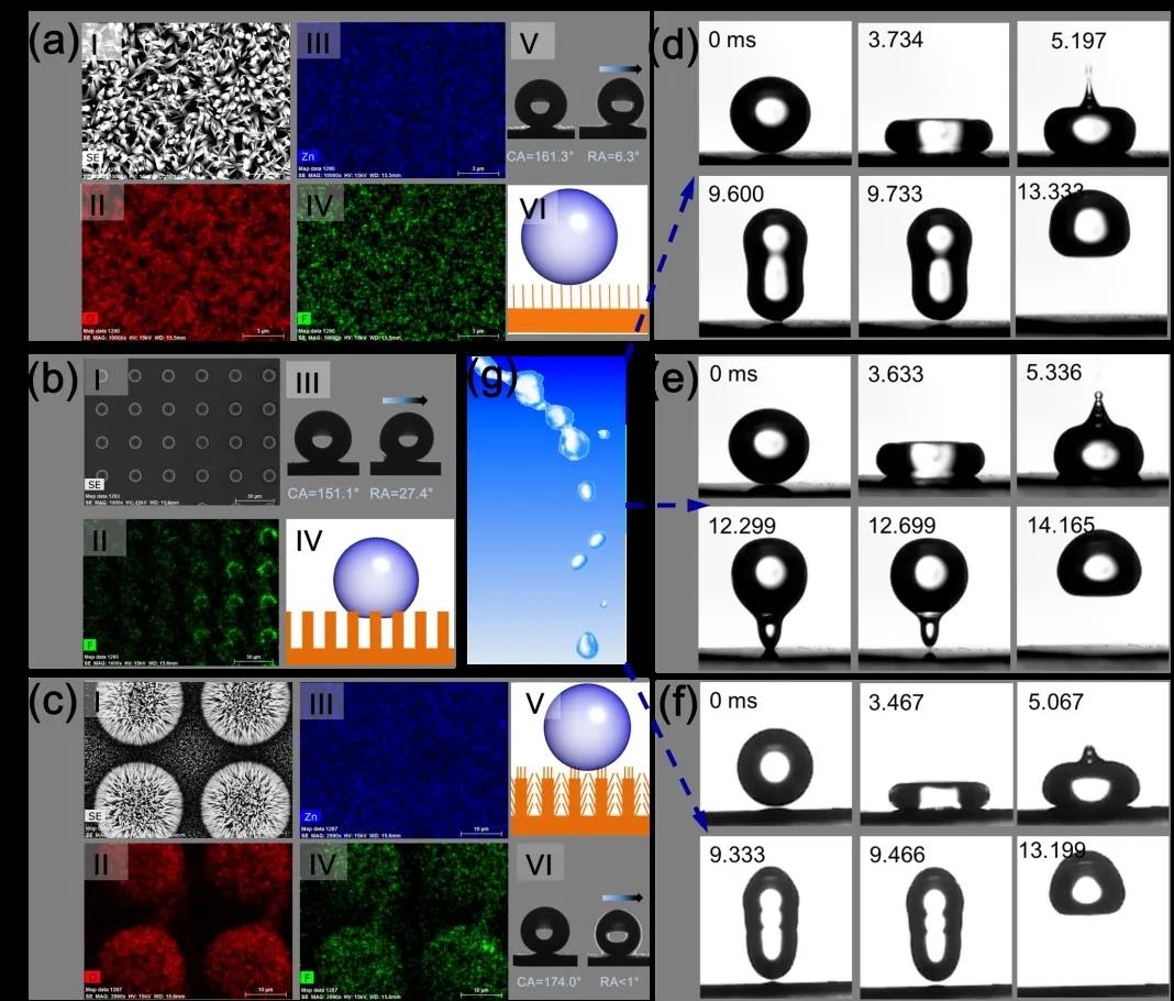图5. 仿生结构表面化学组成及疏水性能表征